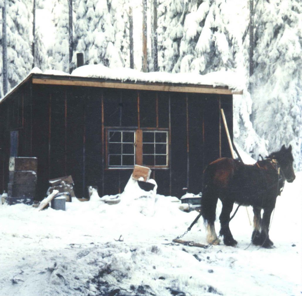 Bunkhouse at Logging Camp
