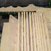 gorman-innovation-scanner